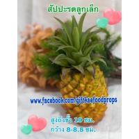 ราคา สัปปะรดปลอม โมเดลสัปปะรด ผลไม้ปลอม ราคาต่อ1 ลูก สวยงามเหมือนจริง (17237558058)