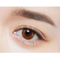ราคา คอนแทคเลนส์สี รายวัน Alcon ออลคอน รุ่น New Freshlook จำนวน กล่อง 10 ชิ้น BV (17016964149)