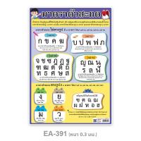 ราคา แผ่นความรู้พลาสติก ขนาด A4 แบบหัดอ่าน ก ไก่ ฮ นกฮูก แบบหัดอ่านสระ วรรณยุกต์ไทย (13999654284)