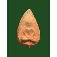 ราคา พระกลีบบัวกรุวัดลิงขบ วัดบวรมงคล กทม 4085 (18768268032)