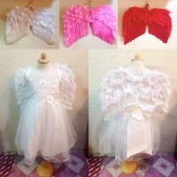 ราคา พร้อมส่งปีกขนนกปีกนางฟ้าแฟนซีงานน่ารักมากๆ (19185955007)