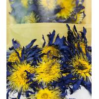 ราคา ชาดอกบัวอียิปต์สีน้ำเงินอบแห้ง Organic กลิ่นหอมธรรมชาติ ผ่อนคลาย บำรุงหัวใจ มีสารต้านอนุมูลอิสระ จำนวน 100กรัม (8327953562)