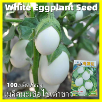 ราคา ปลูกได้ทั้งปี งอกง่าย 100เมล็ด ซอง เมล็ดพันธุ์มะเขือไข่เต่า เมล็ดมะเขือไข่เต่าขาว White Eggplant Seeds Organic Vegetables Seeds for Planting Eggplant Plant Seeds เมล็ดมะเขือไข่เต่า มะเขือไข่เต่าขาว เม