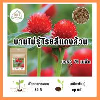 ราคา เมล็ดพันธุ์ ดอกบานไม่รู้โรยสีแดง บรรจุ 70 เมล็ด (21118611613)