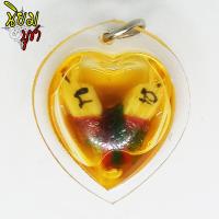 ราคา จี้สาริกา นกสาริกา สาริกาคู่เรียกทรัพย์ เลี่ยมกรอบใสแช่น้ำมัน เครื่องราง มหานิยม (3206282943)