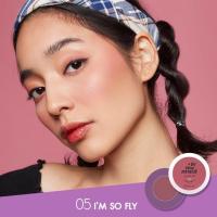 ราคา Cosluxe In The Mood Brush On คอสลุคส์ อิน เดอะ มูด บลัชออน ปัดแก้ม (20905219606)