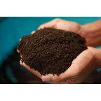 ราคา หญ้าแมว ชุดปลูกต้นอ่อนข้าวสาลี ออร์แกนิค 100 เมล็ดข้าวสาลี พันธุ์ฝาง60 หญ้าสัตว์เลี้ยง หมา กระต่าย เต่า Wheat grass Microgreen (11105152388)