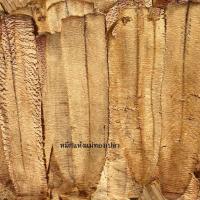 ราคา หมึกบดโบราณ จากเตาถ่าน หอม อร่อย สดใหม่ (20922478667)