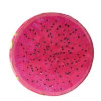 ราคา Wondday หมอนอิงของเล่นยัดไส้หมอนผลไม้หั่นผลไม้หมอนนุ่มในห้องนอนสุดสร้างสรรค์เบาะนอนของเล่นตุ๊กตาเบาะนั่ง (20919029692)