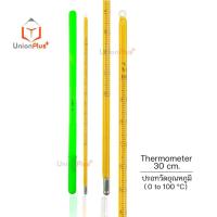 ราคา เทอร์โมมิเตอร์ เทอร์โมมิเตอร์วัดอุณหภูมิ แท่งแก้ว ไส้ปรอท Hg Thermometer มีทุกช่วง Thermometer 0 1000 200 องศา C ปรอท (17887675188)