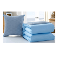 ราคา Global House COZY หมอนผ้าห่ม ขนาด 50X50 CXNE025 สีฟ้า รับประกันของเเท้ (11049797437)
