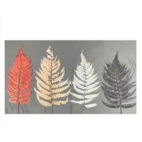 ราคา เฟิร์น ใบเฟิร์นย้อมสี 1กำ5ใบ ใบเฟิร์นดอยหลวง presrevedใบเฟิร์นแห้งใบไม้แห้งตกแต่งพร้อมใช้งานศิลปะหัตถกรรม ตกแต่งการ์ด (17417604538)