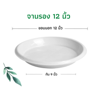 ราคา กระถางปลูกต้นไม้เร่งราก Air Pot กระถางเร่งราก กระถางแอร์พอต กระถางมีรู กระถางต้นไม้เพิ่มราก (16211072228)