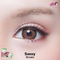 ราคา คอนแทคเลนส์ รุ่น Sassy ยี่ห้อ Pretty doll ตาโต มีสี เทา ตาล สายตาปกติ (17437521388)
