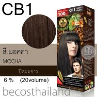 ราคา Farger HCE Hair Color Coffee Brown Series 100ml ฟาเกอร์ ครีมเปลี่ยนสีผม โทนสีกาแฟ โทนน้ำตาลธรรมชาติ (8014588874)