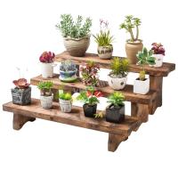 ราคา ชั้นวางของ ชั้นไม้ ชั้นไม้ 2 ชั้น สำหรับตกแต่งบ้าน ชั้นโมเดล ชั้นโชว์ ขายของ กระบองเพชร ต้นไม้ ชั้นไม้วางต้นกระบองเพชร มี 3 ขนาด (7170634703)