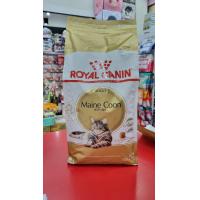 ราคา Rc Maine Coon แมวโต พันธุ์ เมนคูน 2 กก (20518461359)