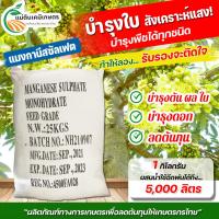 ราคา แมงกานีส 32 Manganese Sulfate Monohydrate บรรจุกระสอบ 25 กิโลกรัม มีบทบาทสำคัญในกระบวนการสังเคาระห์แสง (14209126788)