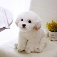 ราคา สุนัขผ้านวม Bichon การจำลองคุณภาพสูงตุ๊กตาของเล่นยัดไส้เกาหลีเหมือนจริงของเล่นลูกสุนัขสุนัขปอมเมอเรเนียนการตกแต่งบ้านเด็กวันเกิด (17432836767)