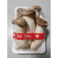 ราคา ใหม่สด จากฟาร์ม เห็ดแพค เห็ดหอมสด เห็ดออรินจิ เห็ดชิเมจิขาว เห็ดชิเมจิดำ เห็เข็มทอง ราคา ถูก ส่ง (20927552990)