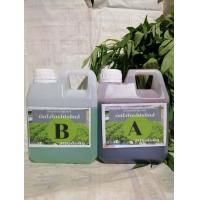 ราคา ปุ๋ยไฮโดรโปนิกส์ ปุ๋ยAB ปุ๋ยน้ำ ปุ๋ยผักสลัด สำหรับปลูกผัก Hydroponics ขนาดA1000ML B 1000ML (12596735823)