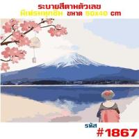 ราคา พร้อมส่ง รหัสชุด2 รูปวาด ภาพวาด ภาพวิว HOME DIY ภาพวาด ระบายสี ภาพวาดสีน้ำมัน ภาพระบายสีตามตัวเลข ขึงเฟรมไม้ Nextone (19976814193)