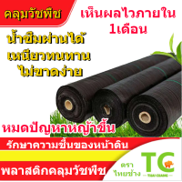 ราคา คลุมวัชพืช กำจัดหญ้า พลาสติกคลุมดิน พลาสติกคลุมวัชพืช พลาสติกคลุมหญ้า ผ้าคลุมดิน ผ้าคลุมวัชพืช ป้องกันวัชพืช กำจัดวัชพืช (21047274674)