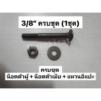 ราคา น็อตเสาไม้ หัวกลม น็อตขันไม้ น็อตขันเสา น็อตหัวกลมคอเหลี่ยม น็อตใส่เสา พร้อมน็อตตัวเมีย แหวนอีแปะ 1 2 4หุล 3 8 3หุน 3หุล 4หุน แบ่งขาย (9699335755)