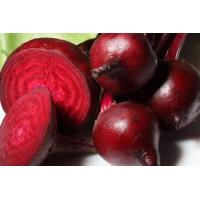 ราคา เมล็ดพันธุ์ บีทรูท Beetroot ซองละ 29 บาท บีทรูทเป็นพืชที่ดีต่อสุขภาพผิว ผักเพื่อสุขภาพ (19785419251)