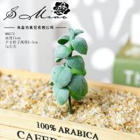 ราคา ต้นแคสตัส มีหลายแบบ ต้นไม้ปลอม ดอกไม้ปลอม ต้นไม้ปลอมแต่งบ้าน แต่งสวน ต้นไม้แต่งตู้ปลา พร้อมส่ง succu (18751558436)