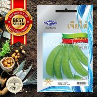 ราคา เมล็ดพันธุ์ ถั่วฝักยาว เมล็ดขาว เมล็ด ต้นไม้ เมล็ดผัก เมล็ดดอกไม้ ดอกไม้ ผัก ผักสวนครัว สลัด เมล็ดพันธุ์พืช (10038833012)