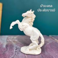 ราคา ม้าโมเดล ม้าตั้งโชว์ ม้ามงคล ม้าพยศ ม้าโมเดล สีขาว เรซิน สูง 25 cm (10113858971)