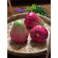 ราคา โมเดลชมพู่ ชมพู่ปลอม ราคาต่อ 1 ลูก (19238542021)