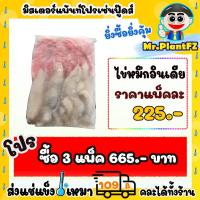 ราคา ไข่หมึกอินเดีย ไข่หมึกก้อน ส่งแช่แข็งราคาเหมา 109 บาท คละสินค้าได้ทั้งร้าน ไม่ต้องซื้อกล่องโฟม (20250720791)