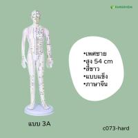 ราคา หุ่นจำลองจุดฝังเข็ม ขนาด 52 54 62cm หุ่นจำลองฝังเข็มได้ งานละเอียดพิเศษ Acupuncture Model By Fangkhem (20813476388)