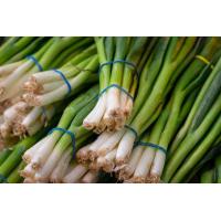 ราคา เมล็ดพันธุ์ ต้นหอม หอมแบ่ง 1100 เมล็ด (17131824611)