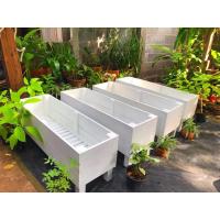 ราคา กระบะปลูกดอกไม้ ปลูกต้นไม้ขนาดเล็ก ตามทางเดิน (14023567148)