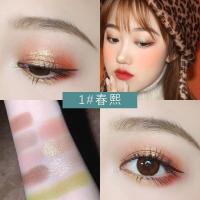 ราคา อายแชโดว์ Novo No 5343 พาเลททาตา 9 ช่อง เนื้อแมท ชิมเมอร์ novo soft eye palette eyeshadow (17296411406)