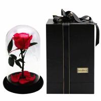 ราคา ของขวัญ วาเลนไทน์กุหลาบสดในโหลแก้ว (20802093914)