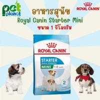 ราคา 1kg อาหารสุนัข Royal Canin Starter Mini โรยัลคานิน อาหารสำหรับ สุนัข ลูกสุนัข หมา ลูกหมา ช่วงแรกเกิด ขนมสุนัข (19555858768)
