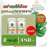 ราคา กระชายขาว ผลิตภัณฑ์อาหารเสริม สารสกัดกระชายขาว กระชายขาว wp สารสกัดพลูคาว สารสกัดถังเช่า สูตรเข้มข้น แท้100 บรรจุ 40 แคปซูล ลดหนัก 50 (10159708140)