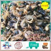 ราคา หอยหวาน 500 กรัม ส่งฟรี ค่าส่ง 0 บาท หอยแห้ง หอยธรรมชาติ ตากสดใหม่ อร่อยม๊าก หอยตุ๊กแก อาหารทะเลแปรรูป อาหารแห้ง food shot (7722474892)