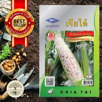 ราคา เมล็ดพันธุ์ข้าวโพดข้าวเหนียวเหนียวม่วงหวาน1 (19262165167)