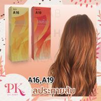ราคา เซตสีผมเบอริน่า Berina hair color Set A16 A19 สีน้ำตาลประกายส้ม สีผมเบอริน่า (12541585022)
