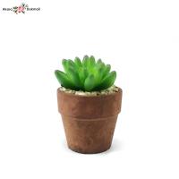 ราคา แคคตัสจิ๋วพร้อมกระถาง กระถางต้นไม้ปลอมจิ๋ว Artificial cactus with pot (4251970864)