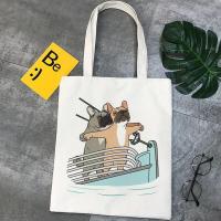 ราคา บูลด็อกฝรั่งเศส (11626985039)