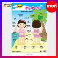 ราคา My Body ร่างกายของฉัน หญิง 2 ภาษา EQ 162 ภาพโปสเตอร์ โปสเตอร์ คำศัพท์ รอบตัว ภาษาอังกฤษ ไทย (19733417022)