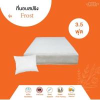 ราคา Furniture Intrend ที่นอนสปริงหุ้มผ้านุ่มรุ่น Frost หนา 8 นิ้ว สีขาว (9917199895)
