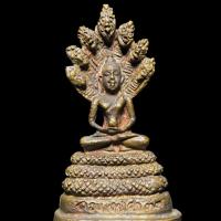 ราคา พระนาคปรก วัดดอนหายโศก จังหวัดอุดรธานีปี2533 เกจิสายอีสานร่วมปลุกเสก (5094898259)