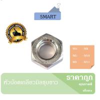 ราคา น๊อตตัวเมีย หัวน๊อตM4 M5 M6 M8 M10 M12 เกลียวมิลชุบขาว บรรจุถุงละ50ตัว น็อตตัวเมีย หัวน็อต น็อต น๊อต (8275925757)